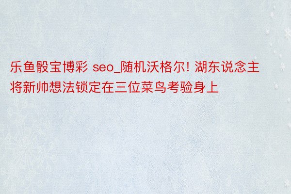 乐鱼骰宝博彩 seo_随机沃格尔! 湖东说念主将新帅想法锁定在三位菜鸟考验身上