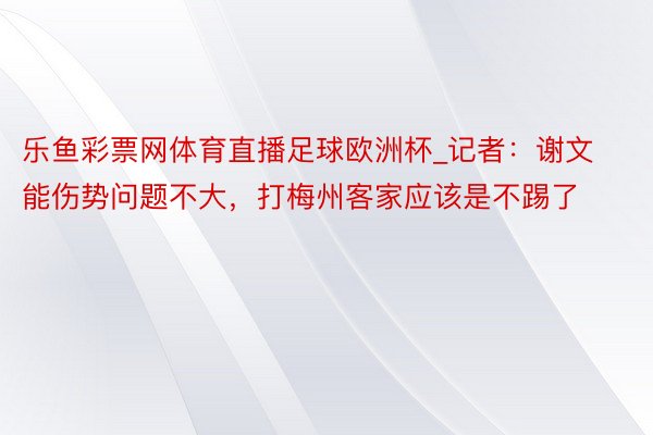 乐鱼彩票网体育直播足球欧洲杯_记者：谢文能伤势问题不大，打梅州客家应该是不踢了
